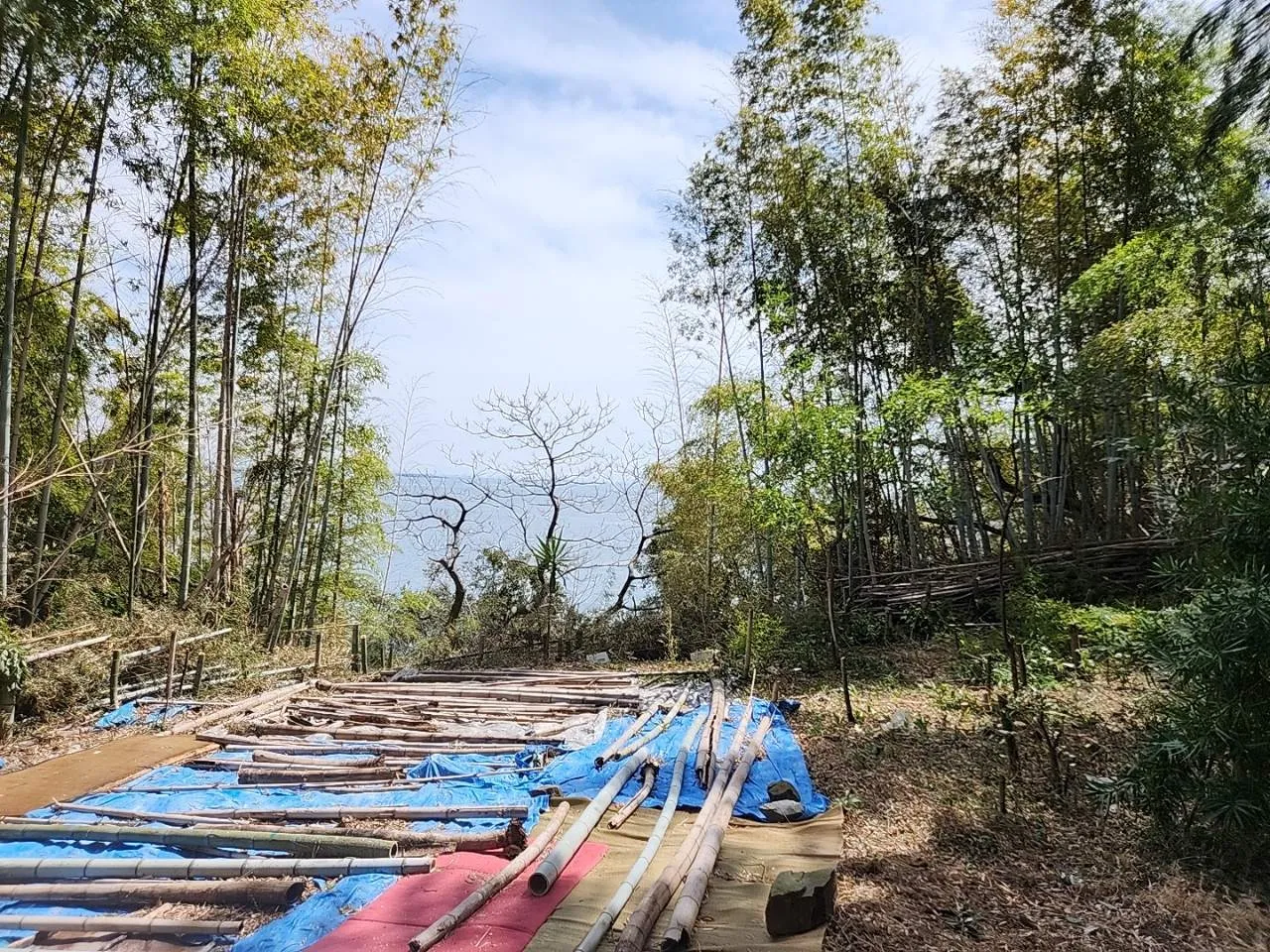 会社のホームページにて、作業内容をアップしました。