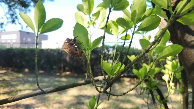 会社のホームページにて、作業内容をアップしました。